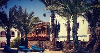 Dahab Divers
