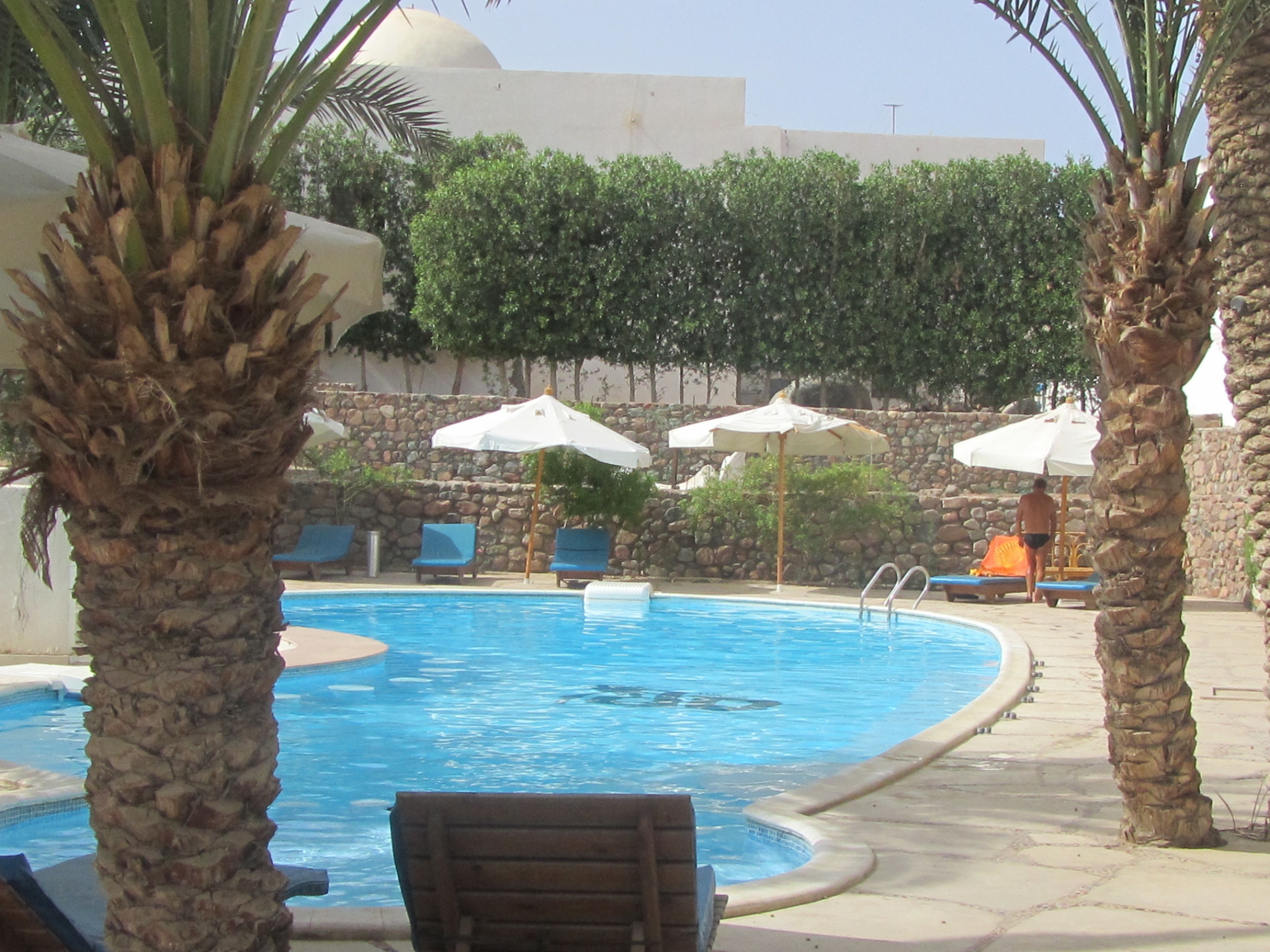Une piscine bordée de palmiers, avec des chaises longues et des parasols.