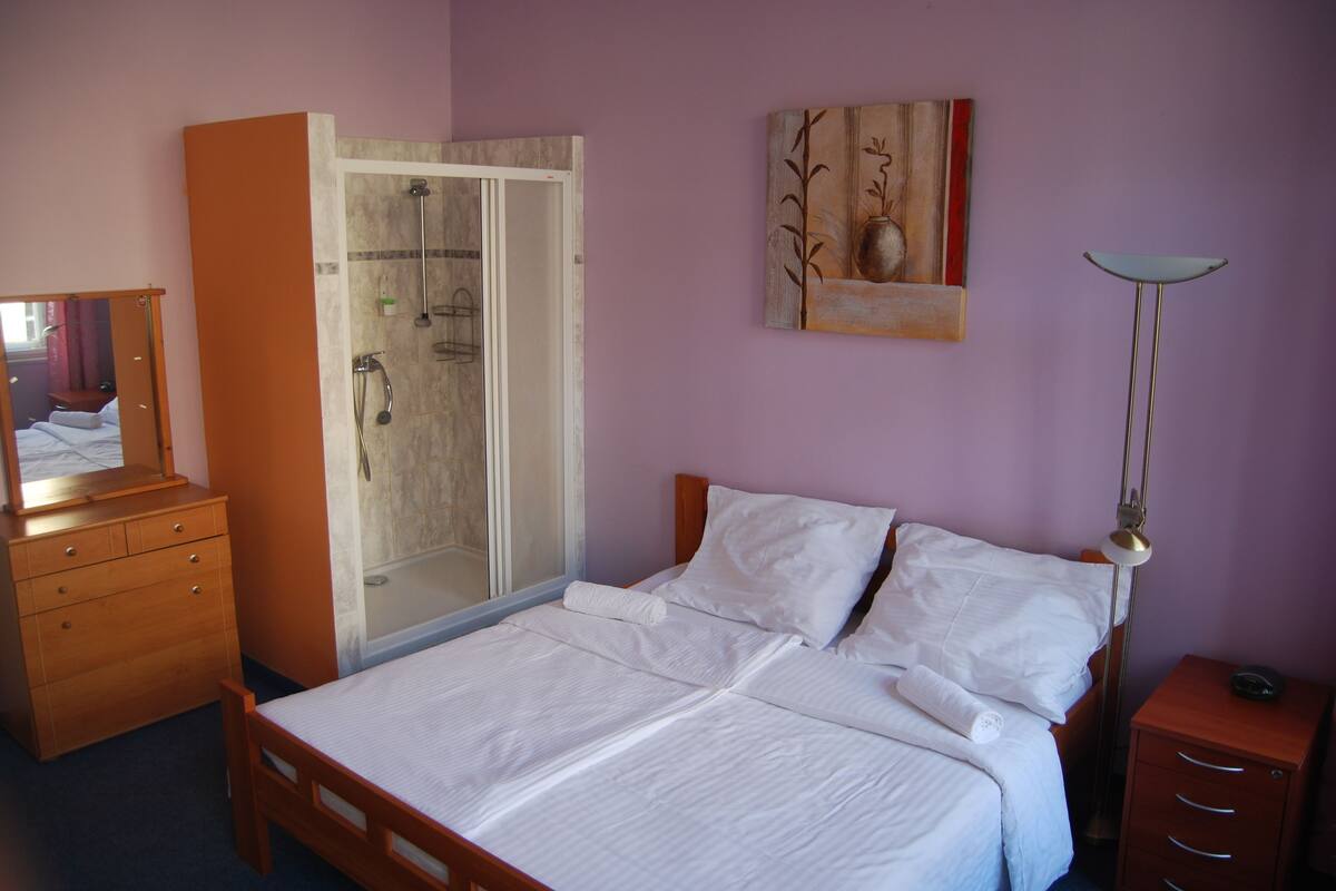 A bedroom with a bed, a wardrobe, a mirror, a shower, and a painting on the wall.