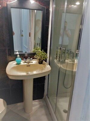 A modern bathroom with a pedestal sink, a mirror, a glass shower enclosure, and a potted plant on the sink. - Sevilla Dream Hostel (Seville)