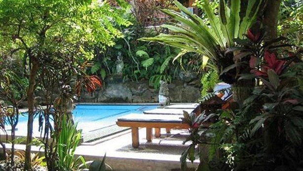 Outdoor pool - Gusti's Garden Bungalows (Ubud)