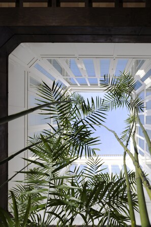 A view through a glass enclosure with a geometric ceiling design, surrounded by lush green foliage. - Palacio de Luja (El Puerto de Santa Maria)