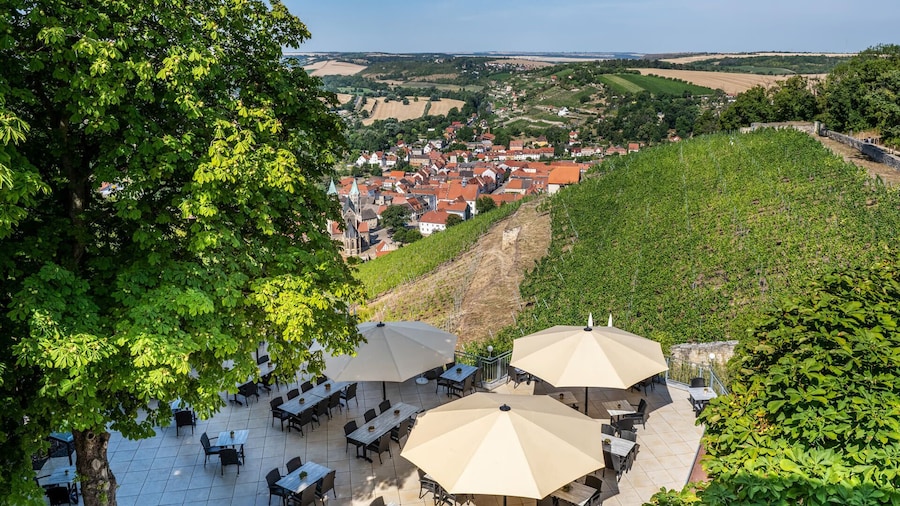 Weinberghotel Edelacker