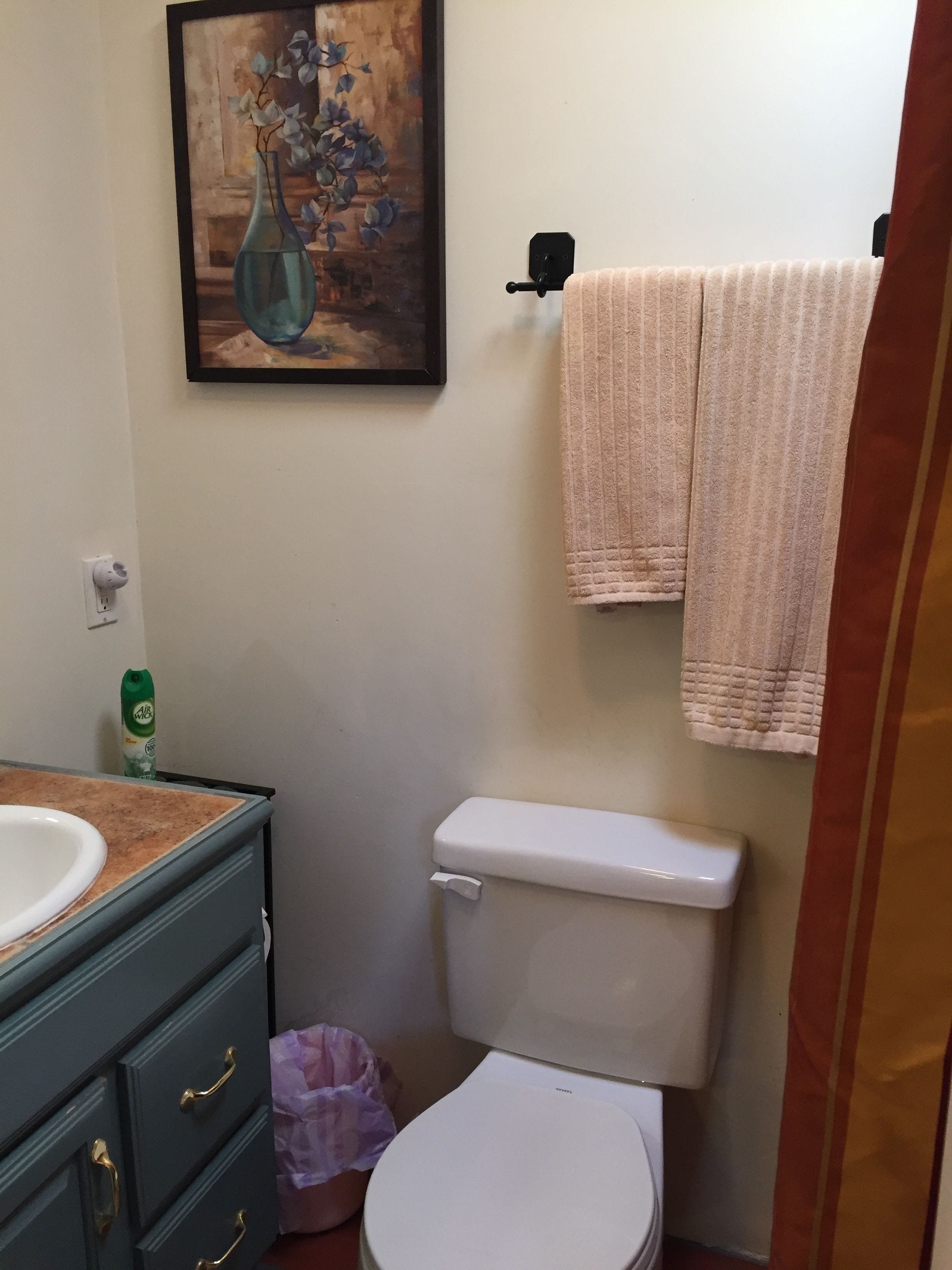 Ein Badezimmer mit Toilette, Waschbecken, Mülleimer und einem Bild an der Wand.