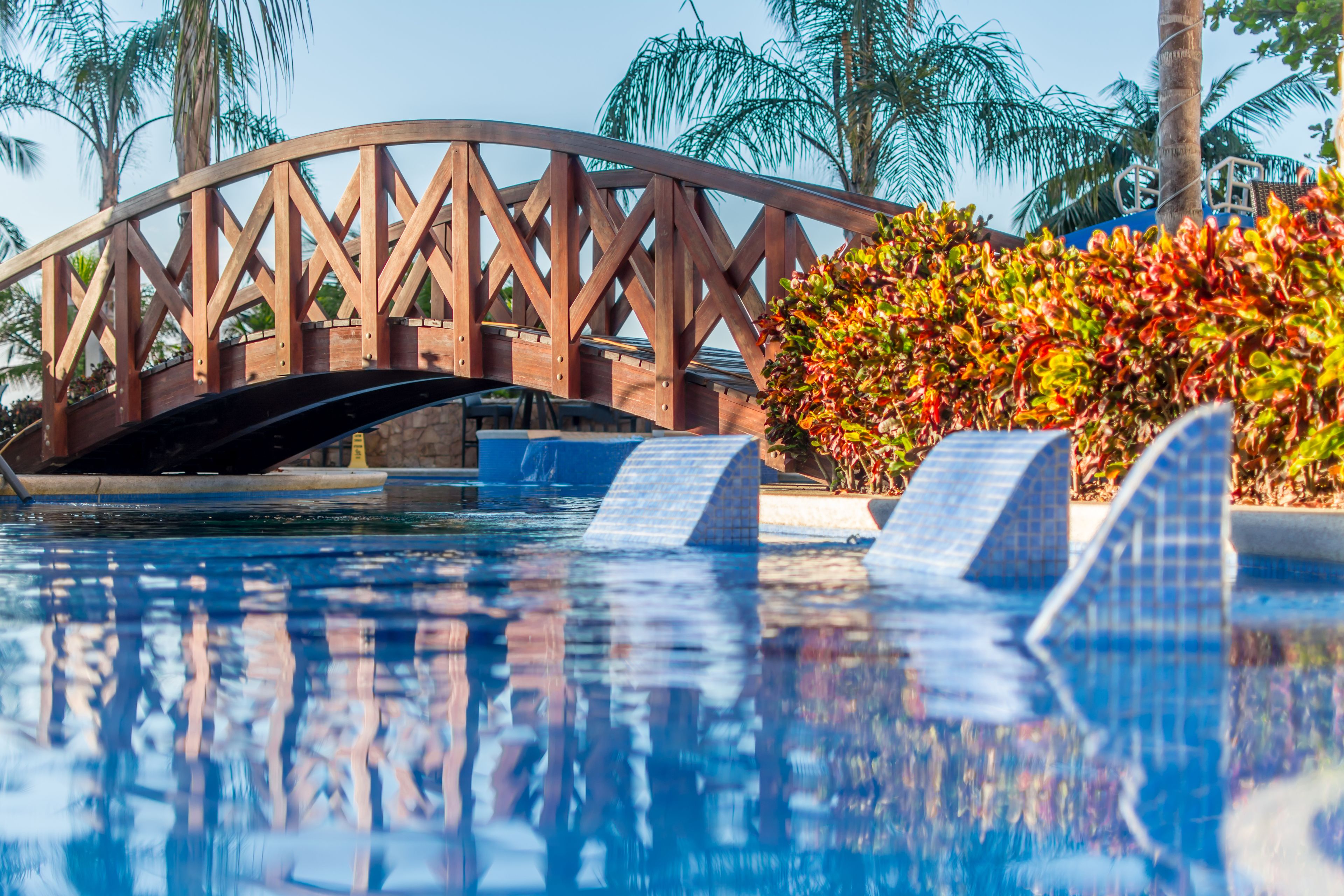 A swimming pool with a wooden bridge and palm trees in the background.