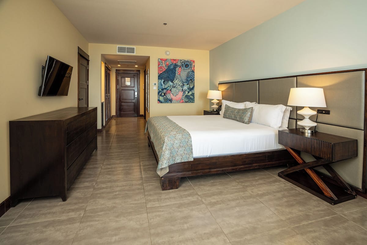 Room, 1 King Bed, Mountain View | 1 bedroom, premium bedding, down comforters, in-room safe
