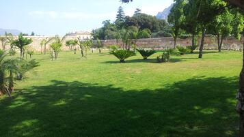 Um parque com gramado, árvores e um muro de pedra ao fundo.