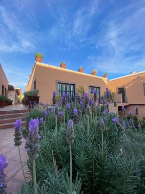 Détail de l’intérieur