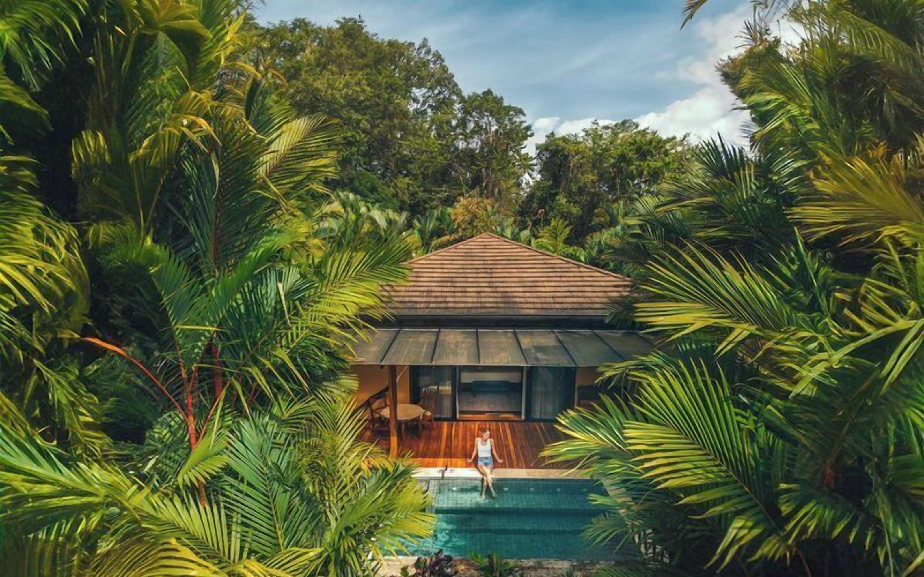 Una casa rodeada de exuberante follaje tropical, con una piscina en primer plano.