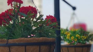 A hanging basket with red flowers, likely geraniums, suspended from a metal fixture.