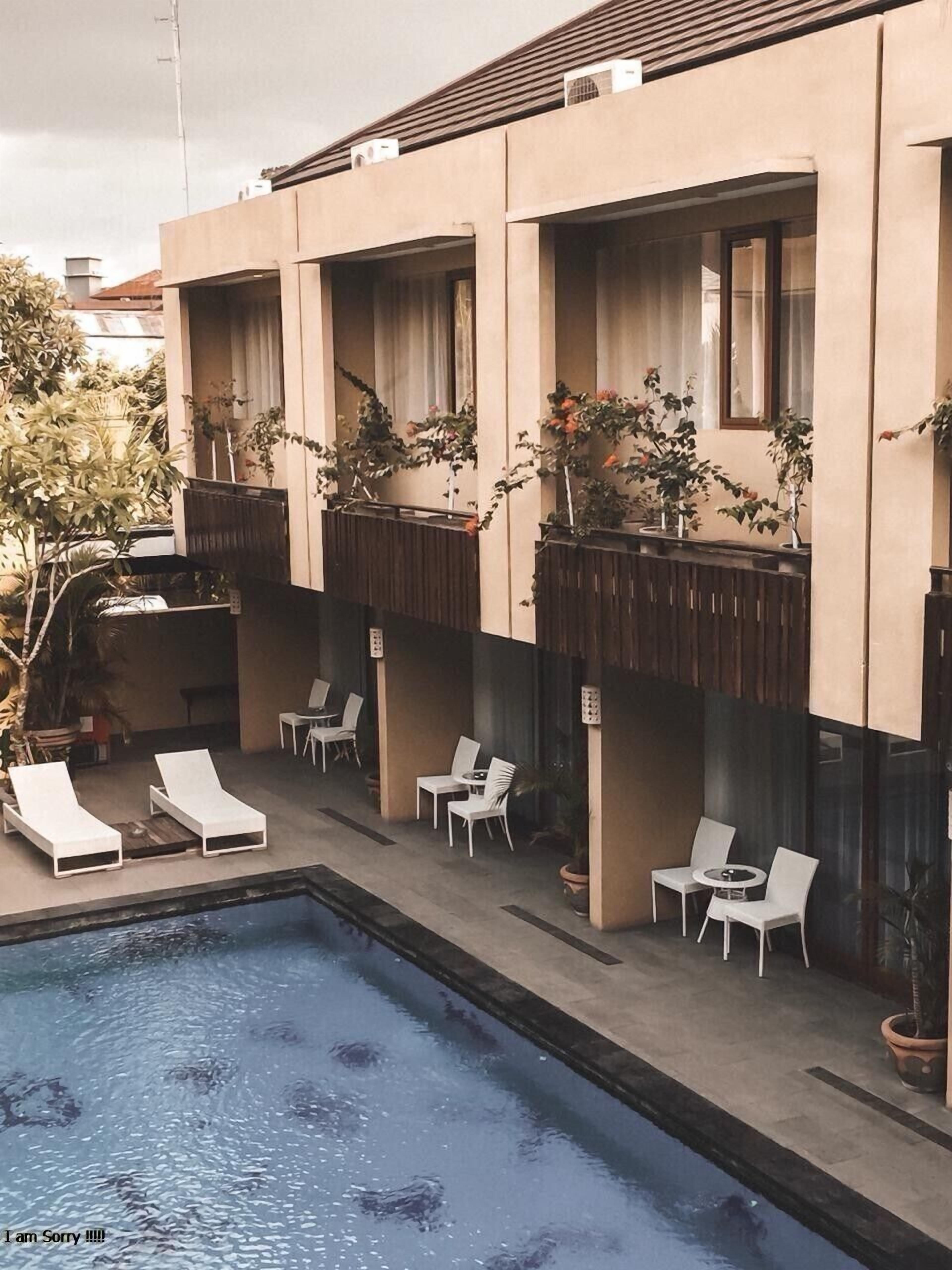 Zona junto a la piscina con sillones de descanso y mesas, piscina y plantas en macetas.
