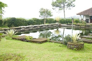 Vườn
