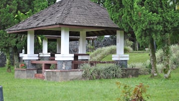 Hoạt động cho trẻ em