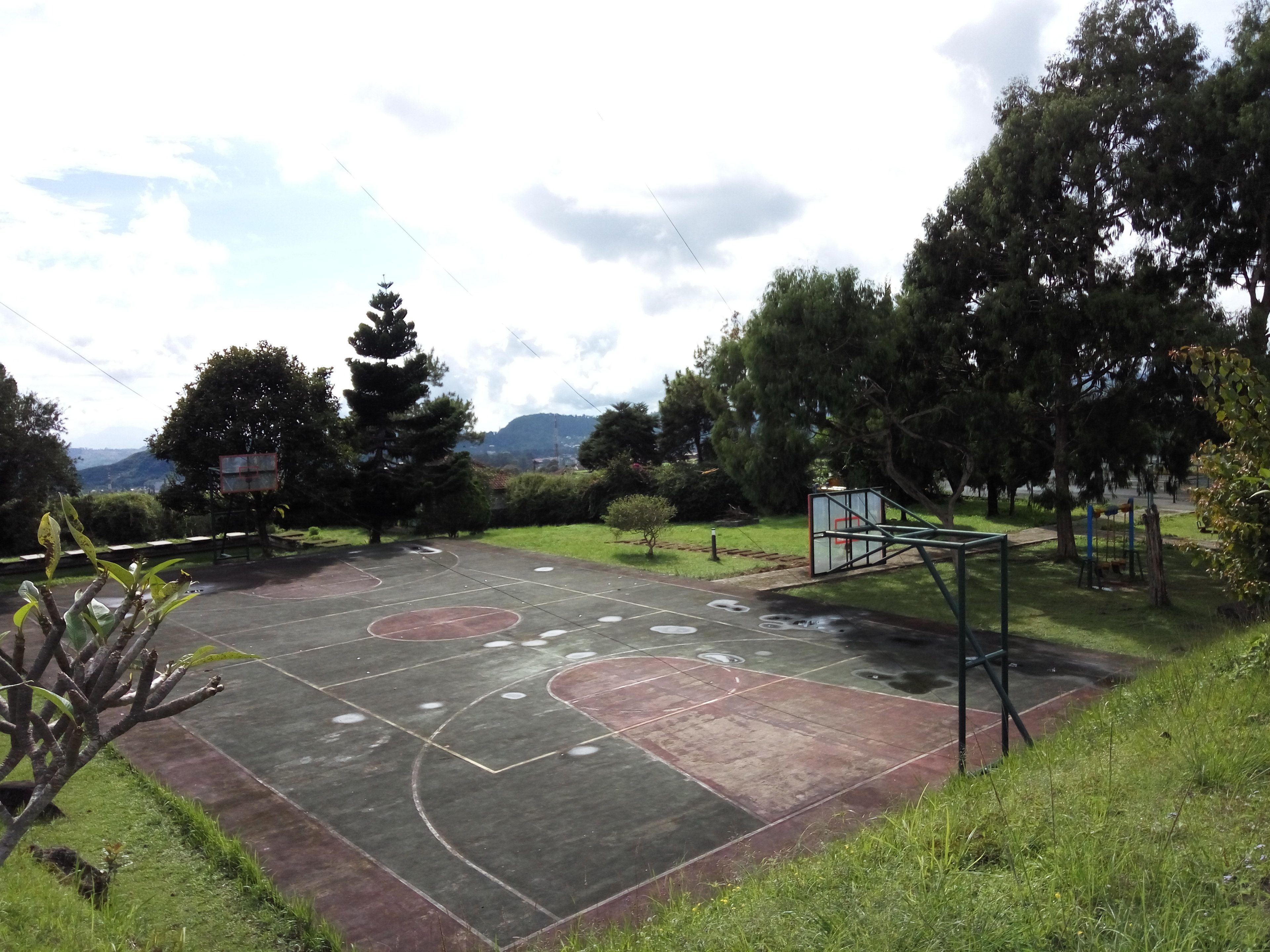 Un terrain de basket en plein air, entouré d’arbres et d’herbe, avec une montagne en arrière-plan.
