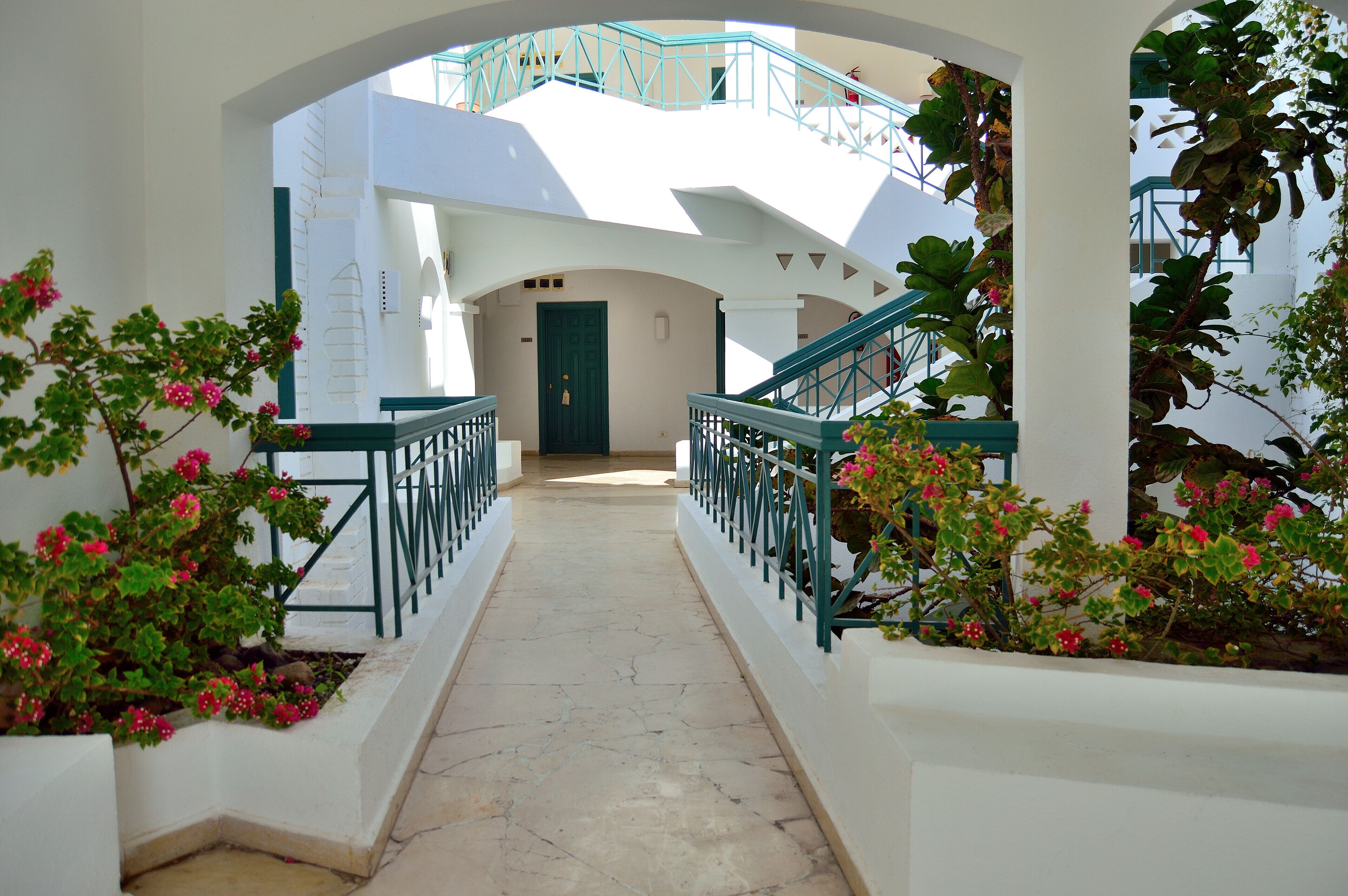 Foto - JAZ Neo Naama Bay