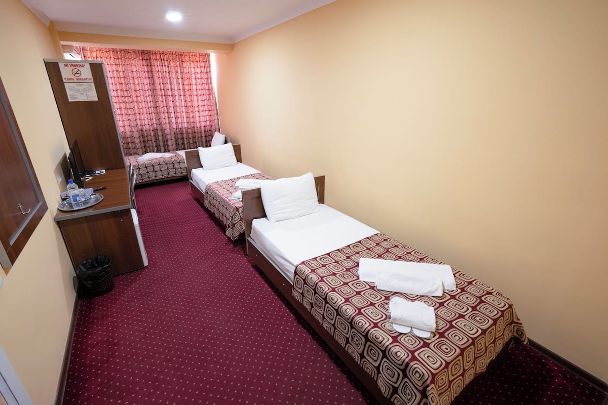 A hotel room with two single beds, a desk with a chair, a trash bin, and a red carpeted floor.