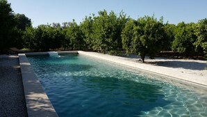 A rectangular swimming pool with clear water, surrounded by a gravel area and trees. - Masseria Lama di Coccaro (Fasano)