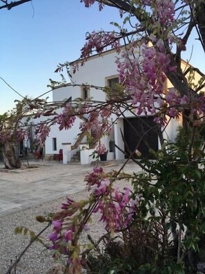 Exterior - Masseria Lama di Coccaro (Fasano)