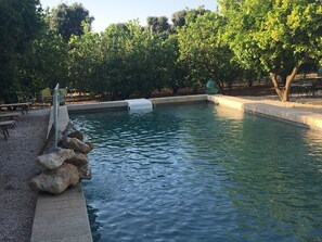 Una piscina con borde de piedra, rodeada de árboles y un área de descanso cubierta.