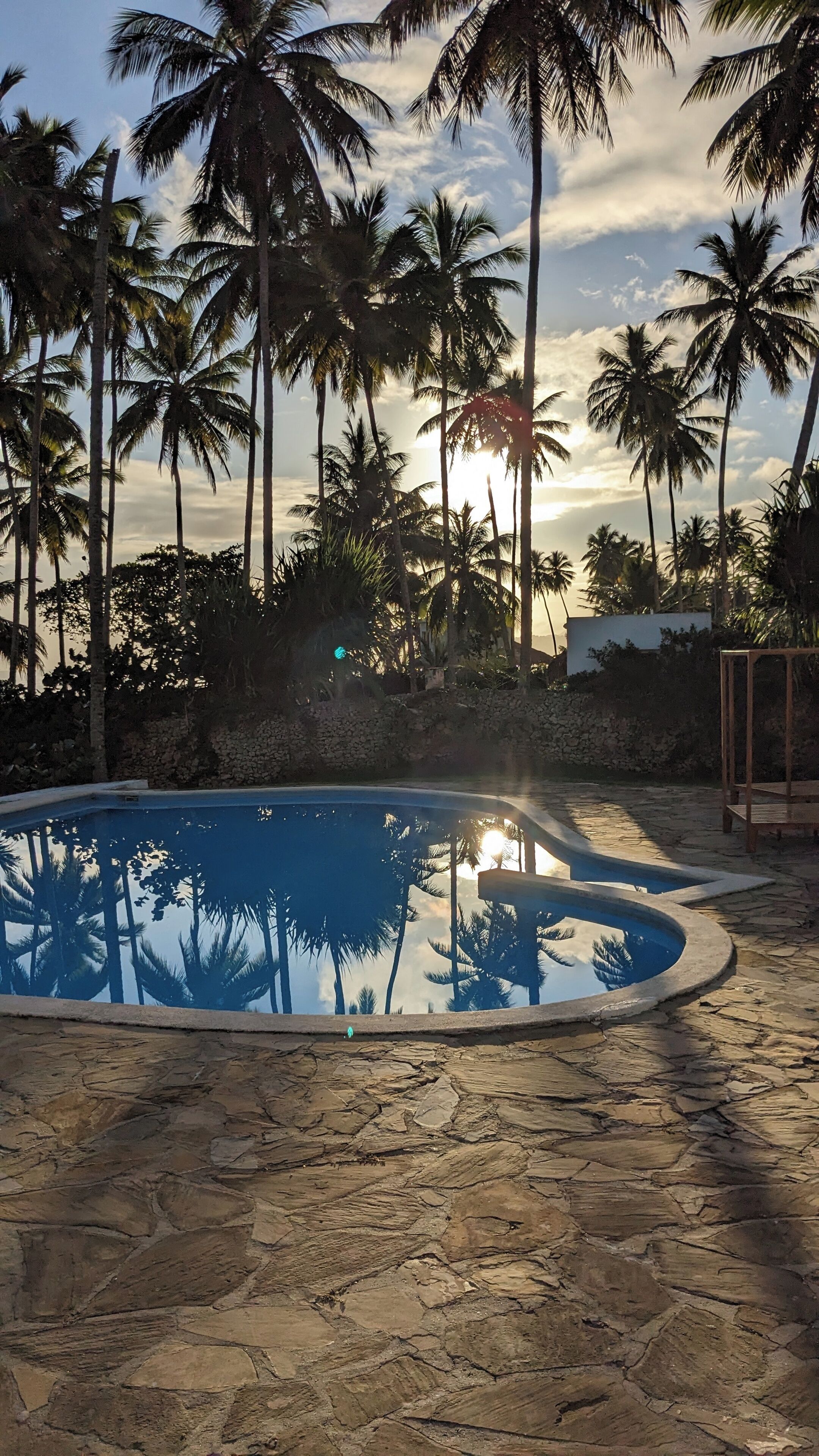 Una piscina rodeada de palmeras y un patio de piedra.