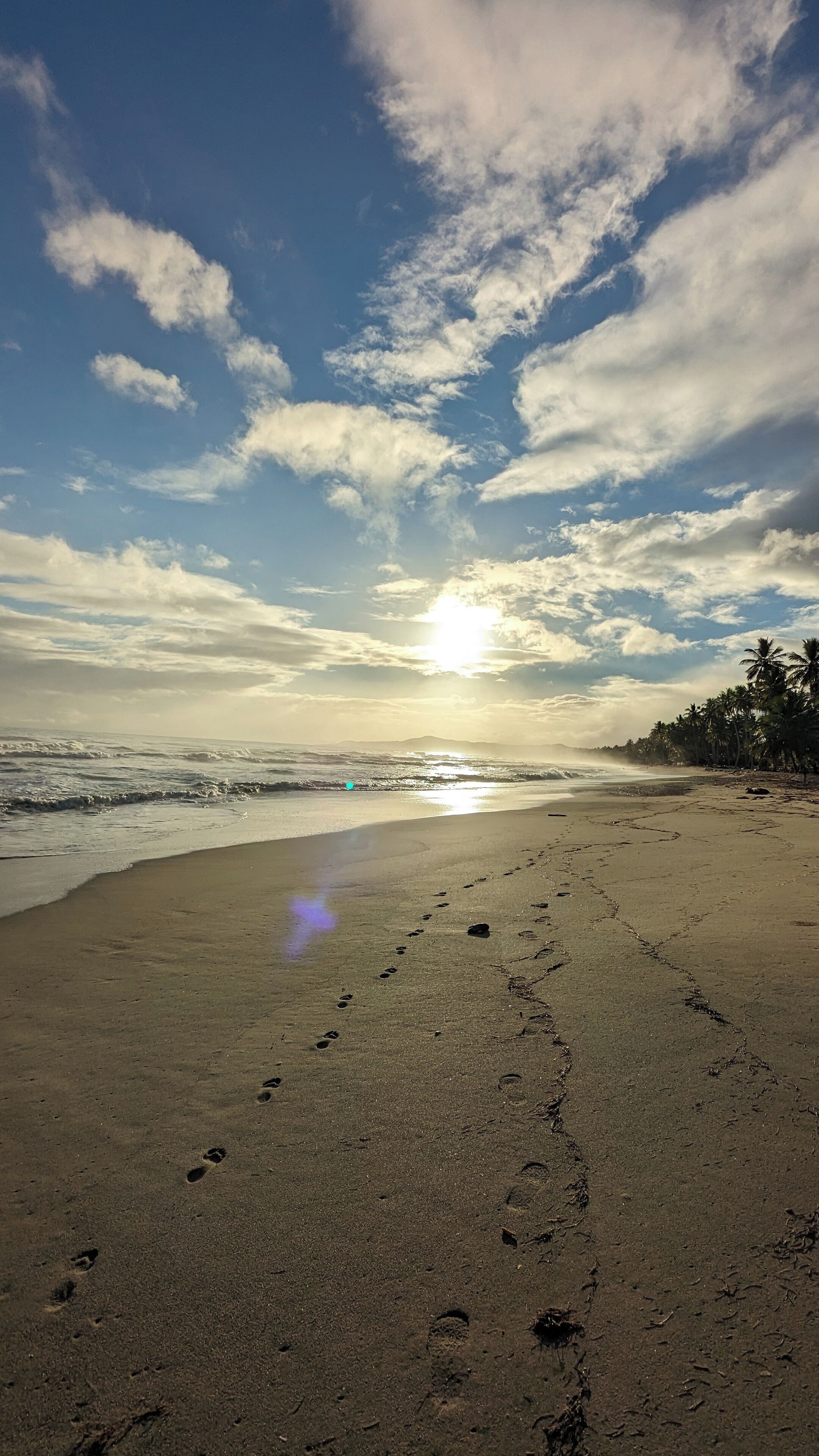 Ein Strand mit Fußspuren, die zum Wasser führen, Palmen und einer untergehenden Sonne über dem Ozean.