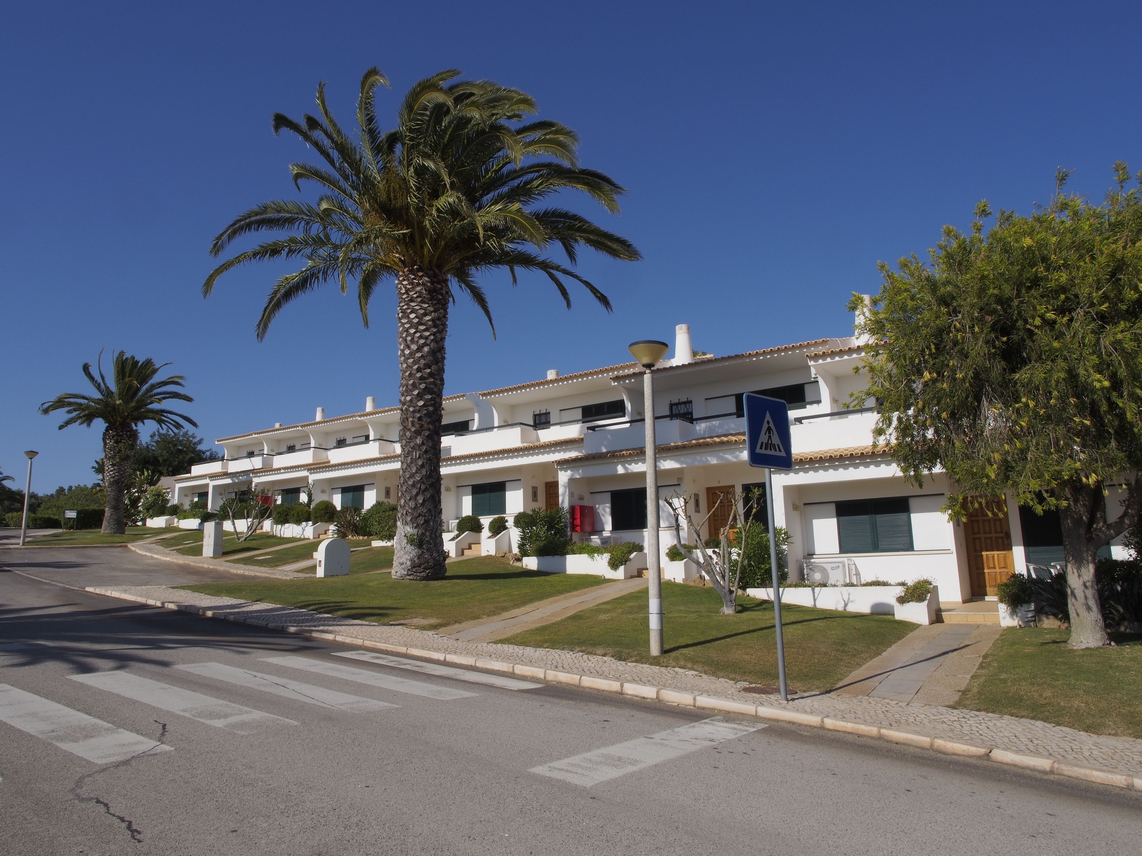 A multi-story hotel with a white facade, palm trees, and a pedestrian crossing.