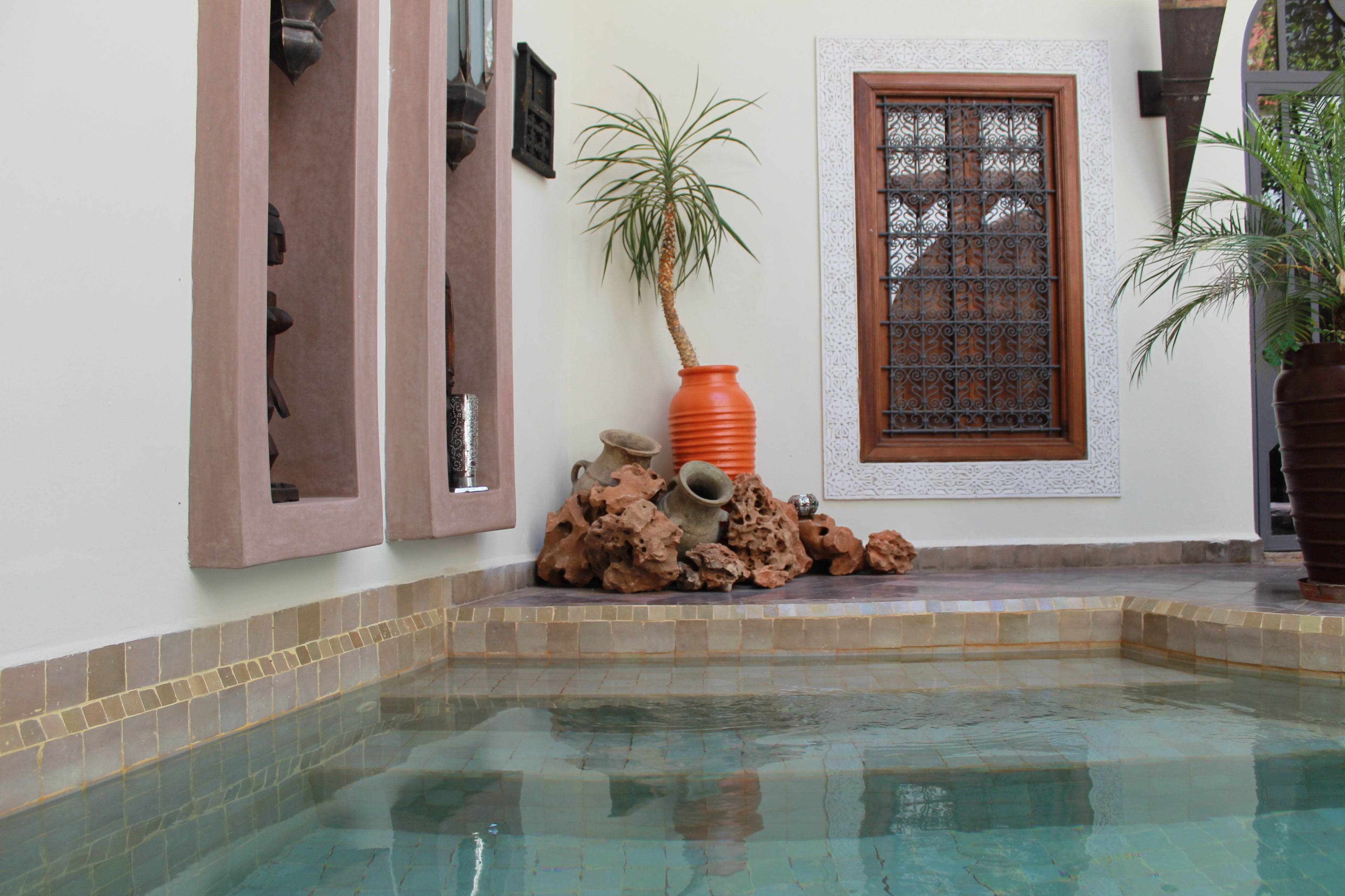 A pool area with clear water, a potted plant, and decorative rocks.
