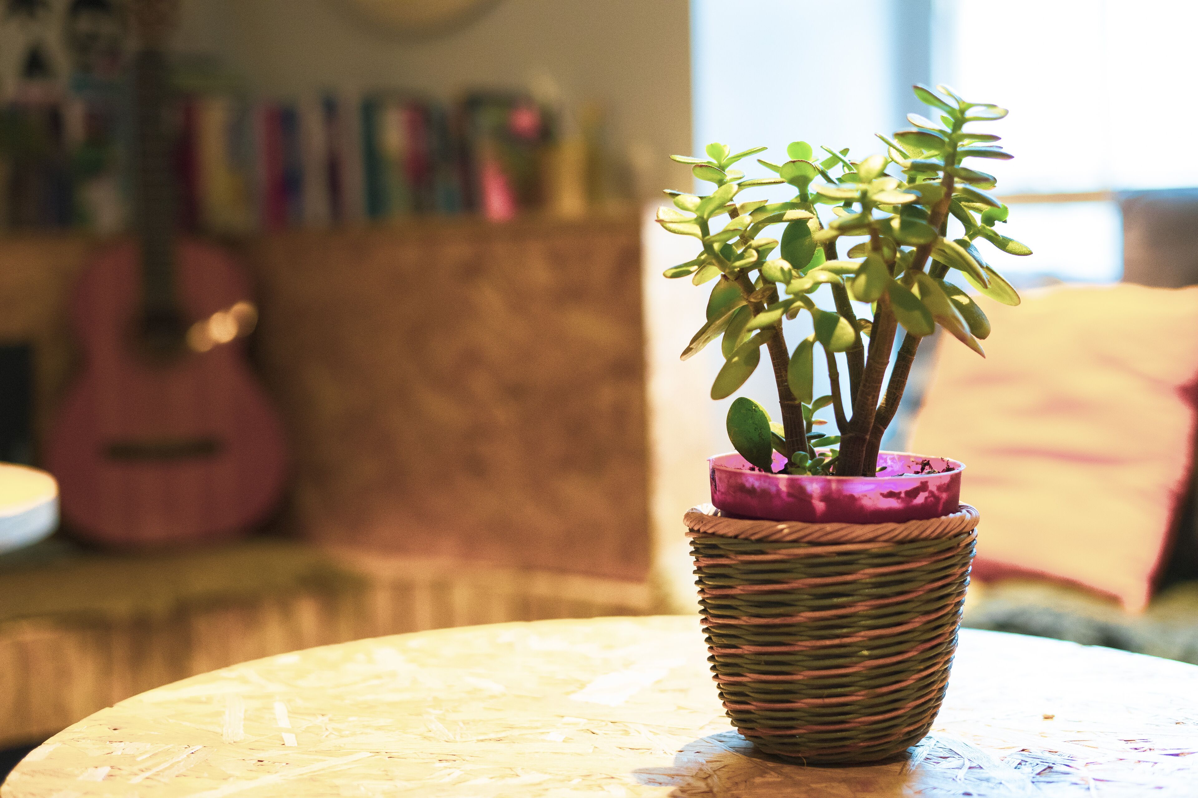 Foto - Haystack Hostel