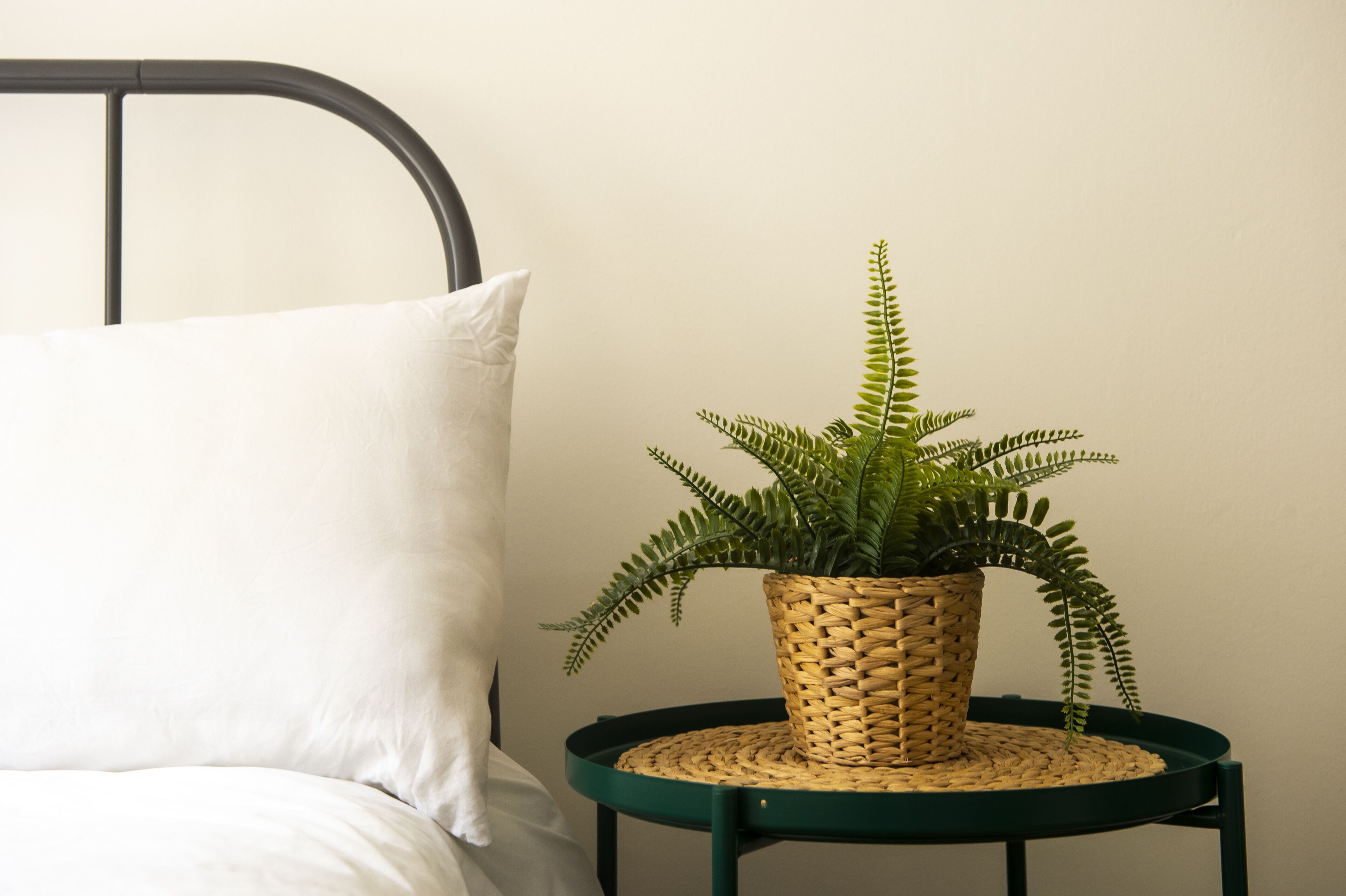 Foto - Haystack Hostel