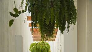 A narrow hallway with a checkered floor, white walls, and hanging green plants. - La Casa Del Piano Hotel Boutique by Xarm Hotels (Santa Marta)