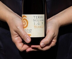 Una persona che tiene in mano una bottiglia di vino con un'etichetta che recita “TERRE SICILIANE I.G.P. BIANCO”.