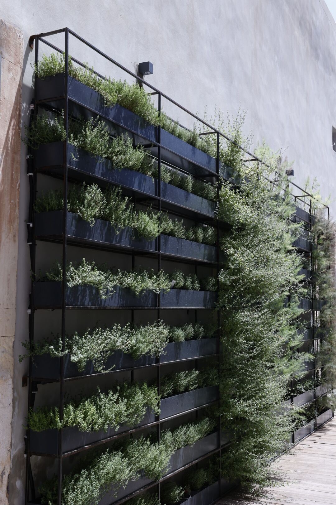 Photo - Habitat Boutique Hotel