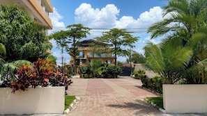 A residential building with a paved driveway, surrounded by lush greenery and palm trees.