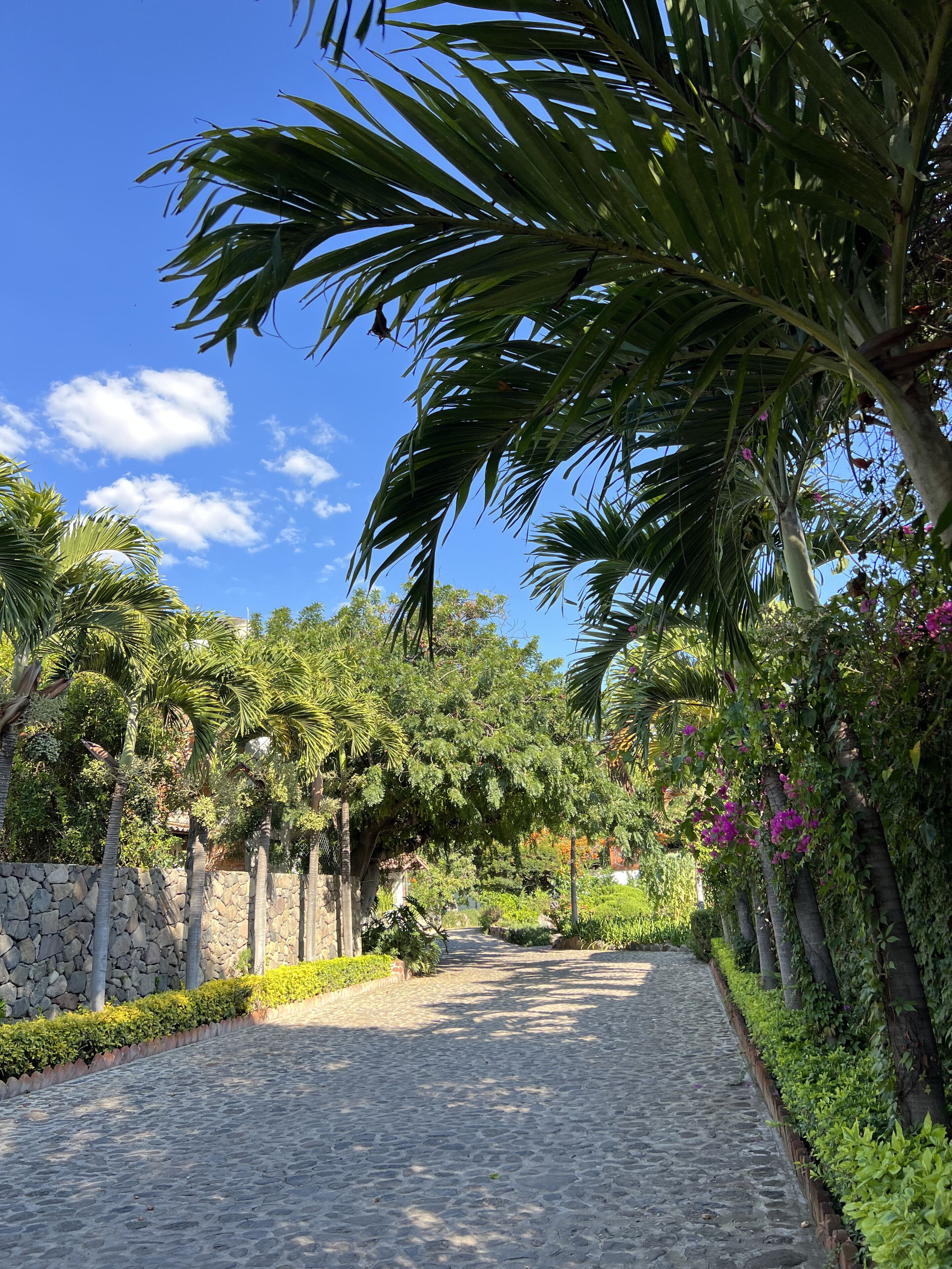 Entrada de la propiedad