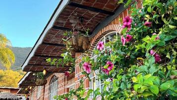 Vista desde la habitación