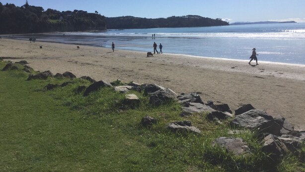 Beach - Orewa Beachside (Orewa)