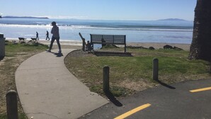 Beach - Orewa Beachside (Orewa)