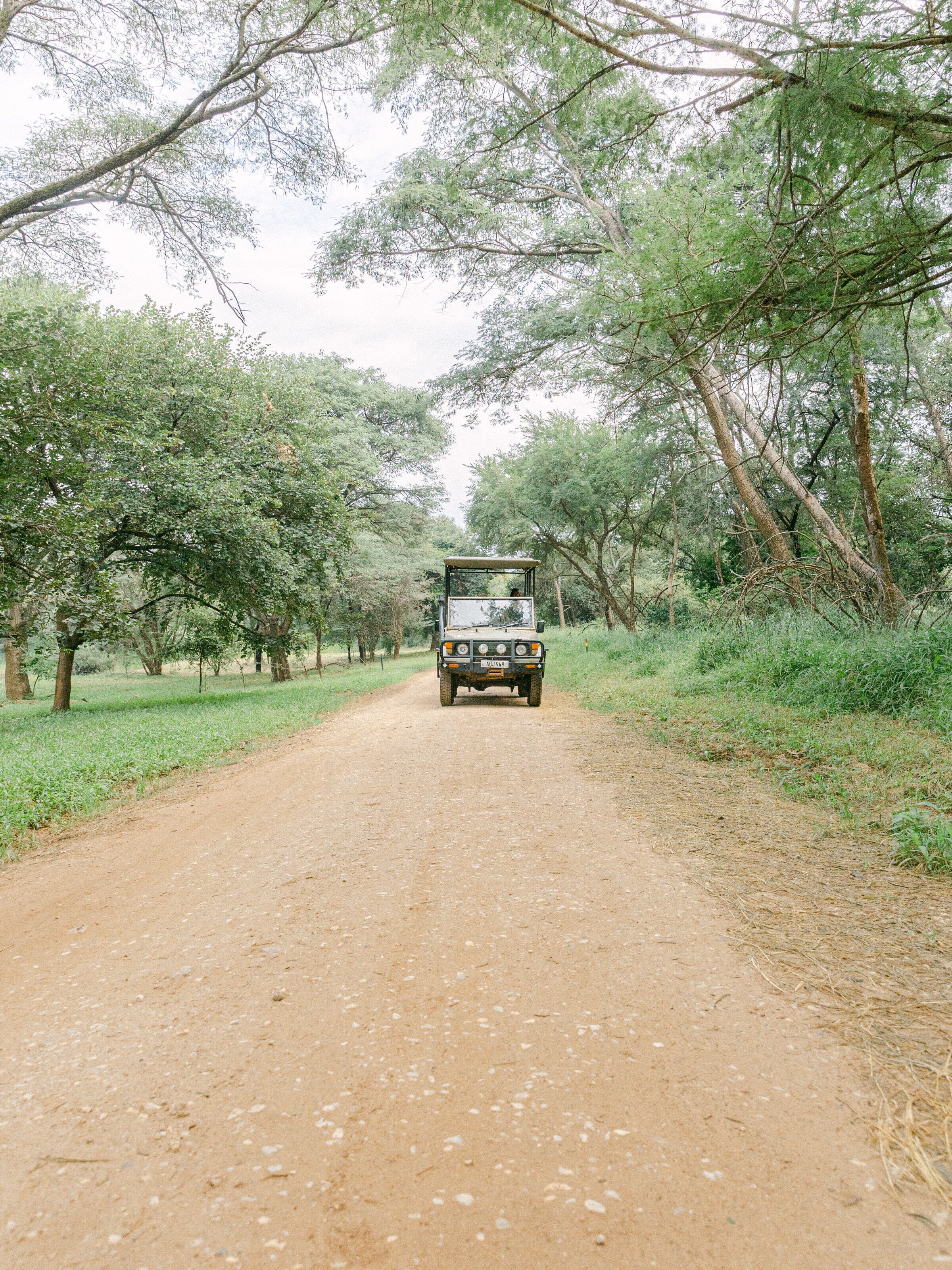 game drive