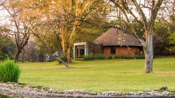Escape to a serene cottage surrounded by lush greenery and a tranquil pond.