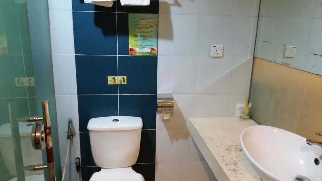 A bathroom with a toilet, a sink, and a shower area.