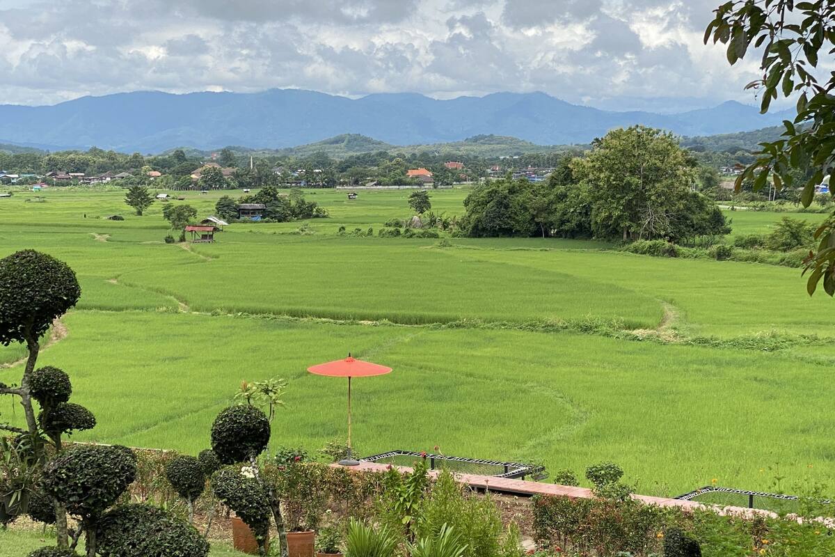 Üppige grüne Landschaft mit ordentlich geschnittenen Bäumen und einem roten Regenschirm im Vordergrund.