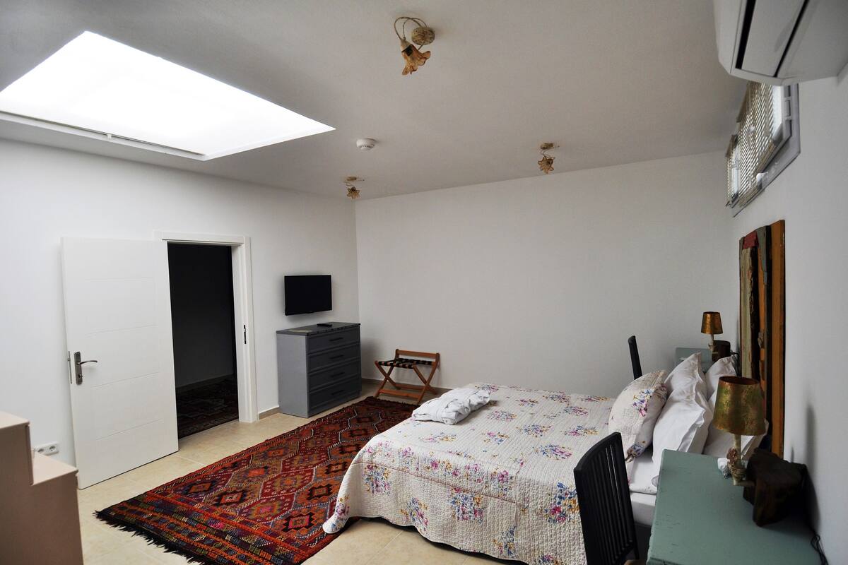 A bedroom with a bed, a desk, a chair, a TV, a wardrobe, a ceiling fan, and a skylight.