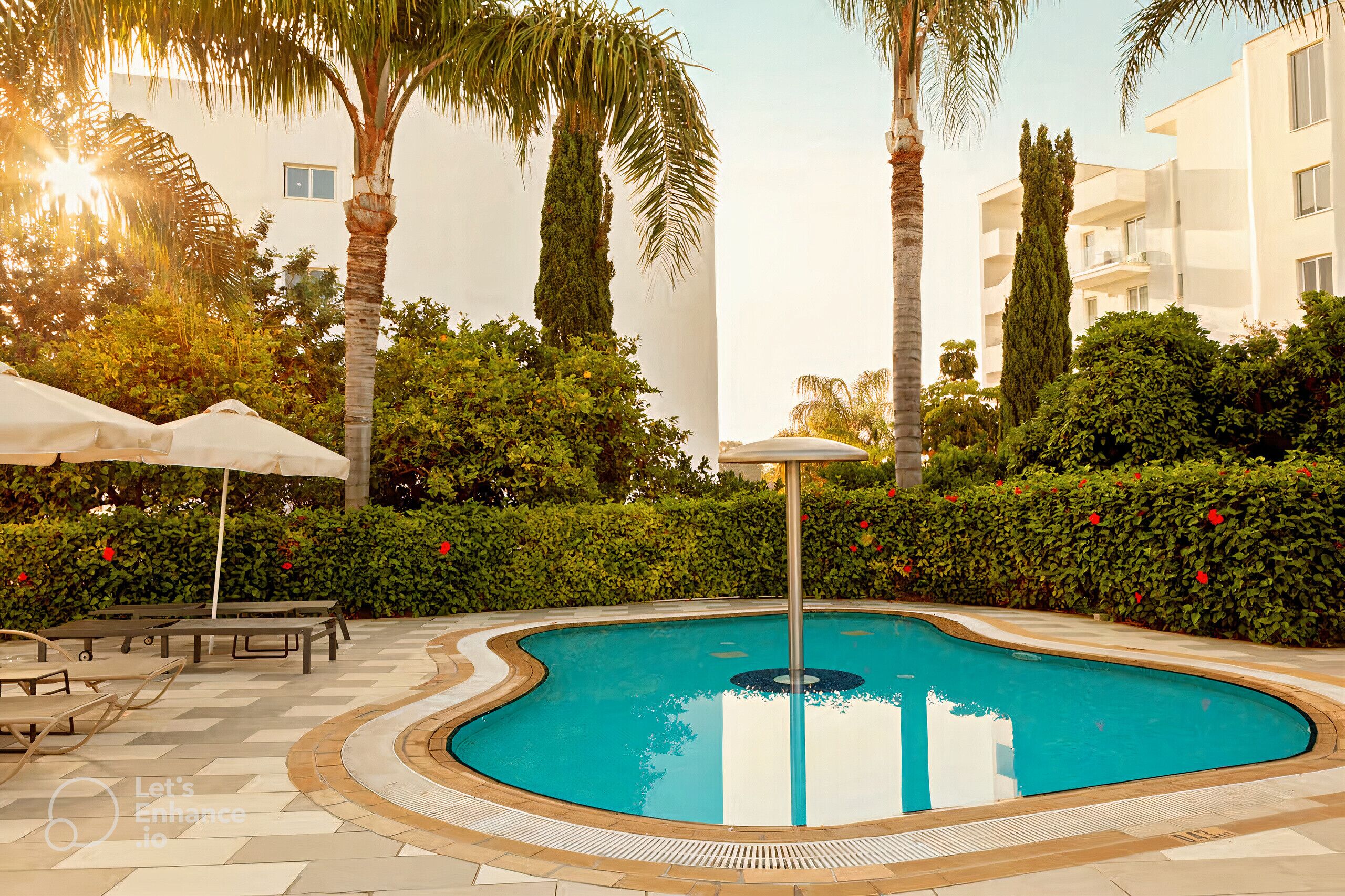 A swimming pool with a sunken center, surrounded by palm trees and a hedge.