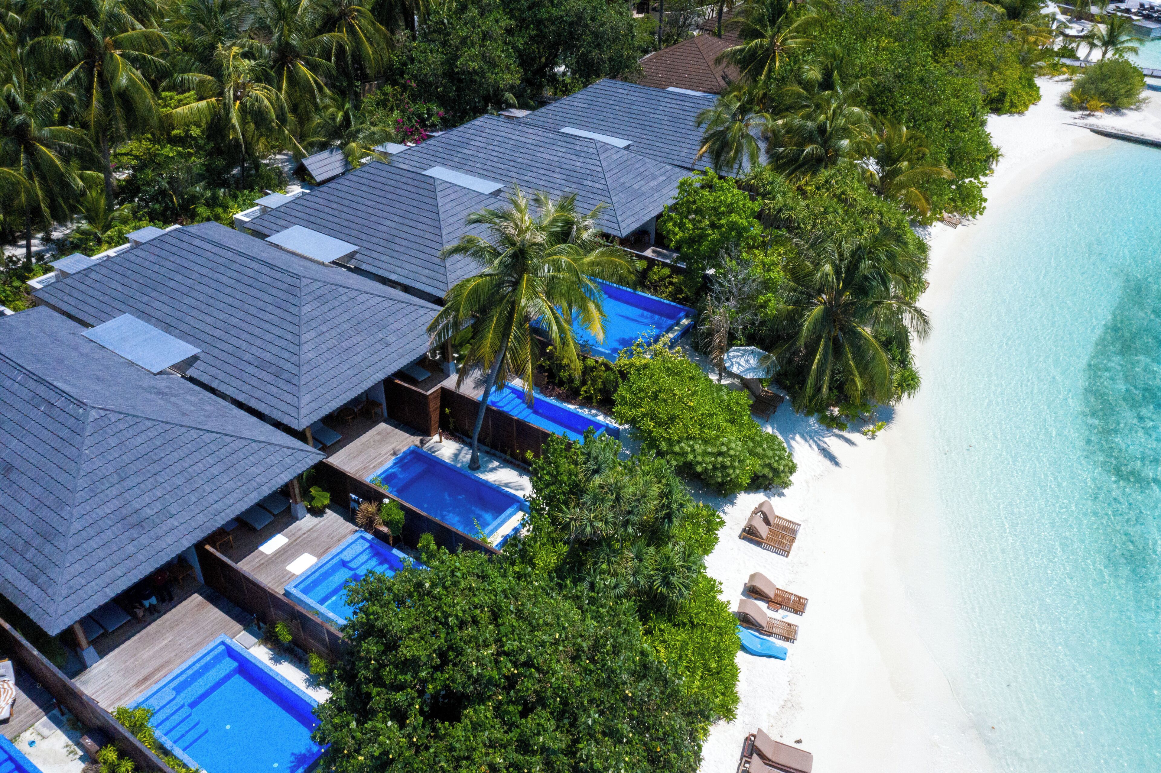 Et resort med flere overvandsbungalows, hver med privat pool og direkte adgang til en hvid sandstrand.