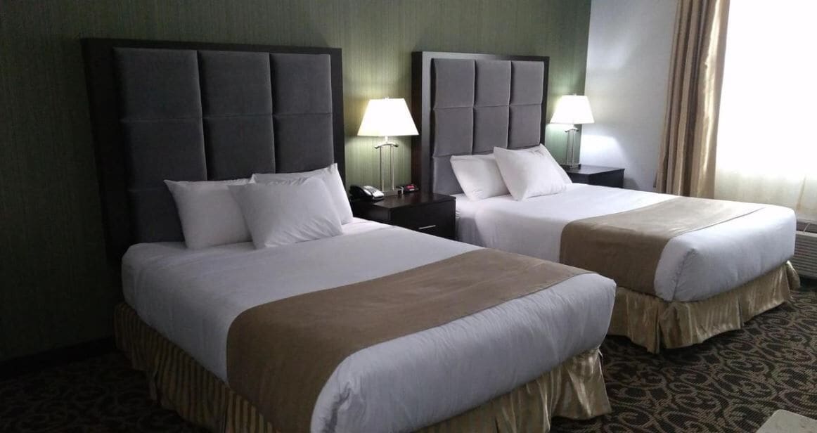 Duas camas de casal com cabeceiras, mesas de cabeceira com abajures e um tapete estampado.