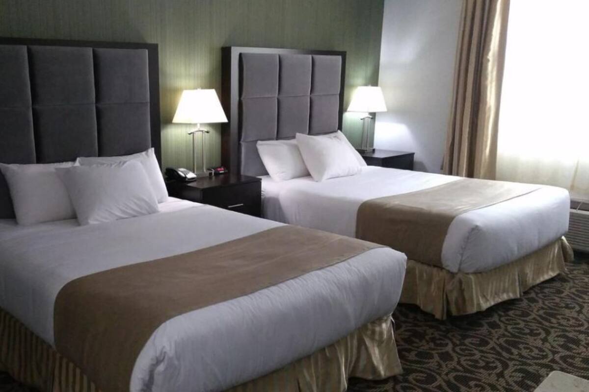 Duas camas de casal com cabeceiras, mesas de cabeceira com abajures e um tapete estampado.