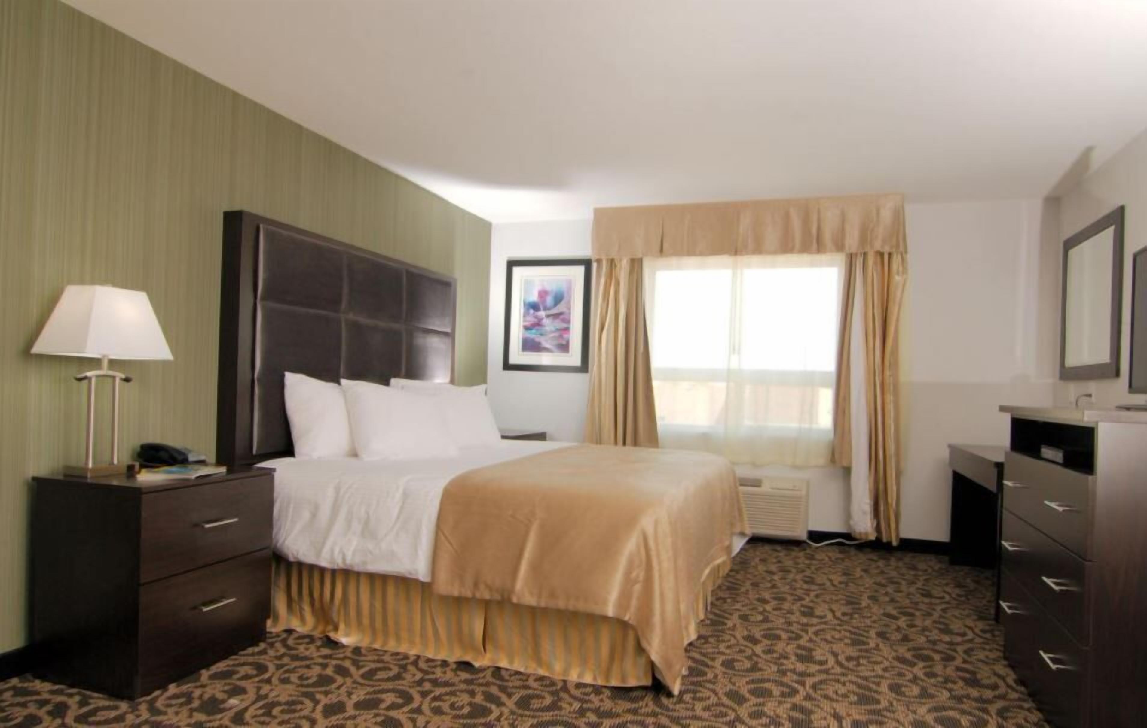 Quarto de hotel com cama, escrivaninha, luminária, quadro emoldurado e janela com cortinas.