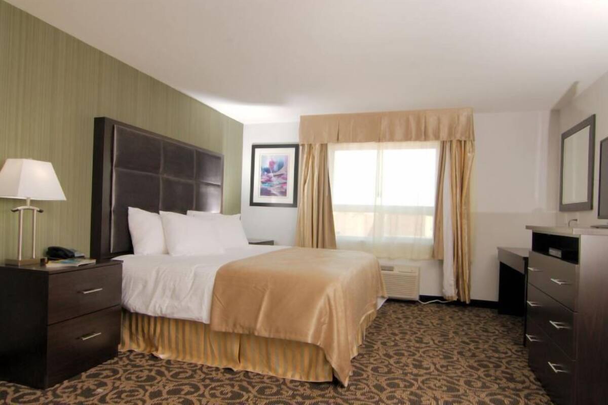 Quarto de hotel com cama, escrivaninha, luminária, quadro emoldurado e janela com cortinas.