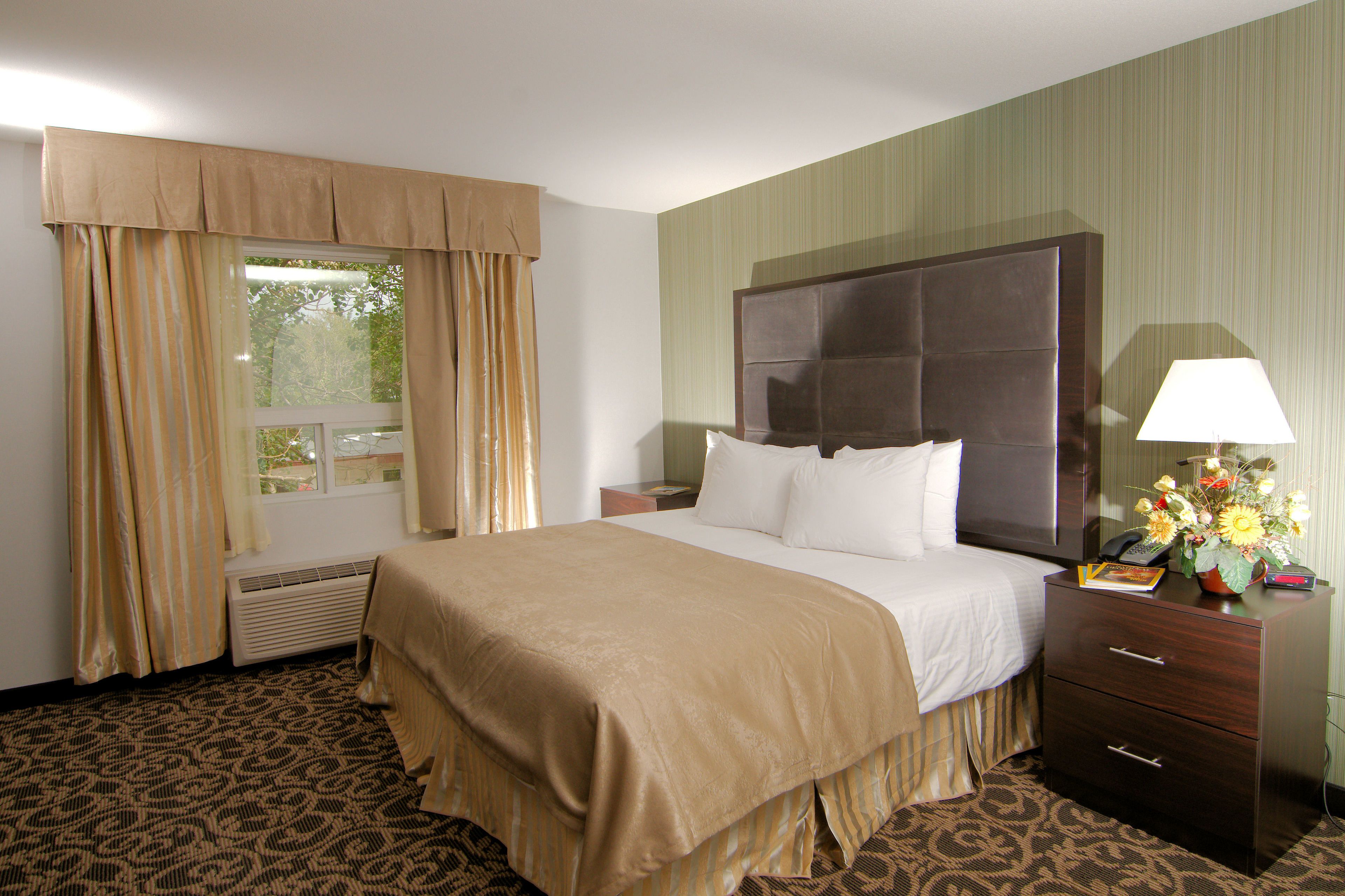 Kitchenette Suite, 1 King Bed