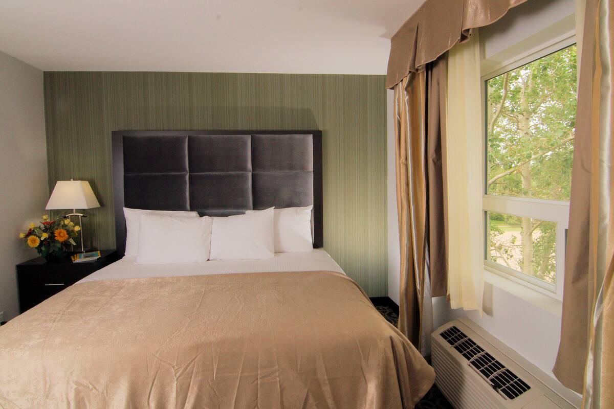 Quarto de hotel com uma cama grande, uma mesa de cabeceira com uma lâmpada e flores, e uma janela com cortinas.